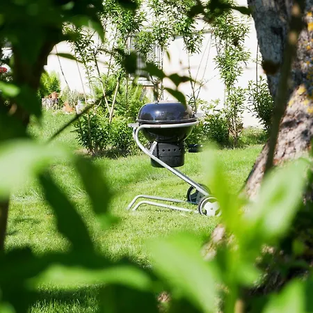 アパート Walter リングスハイム