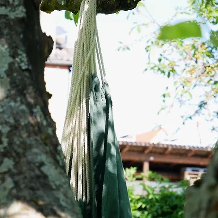 شقة فيرينفونونغ والتر