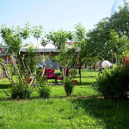 فيرينفونونغ والتر رينغشيم